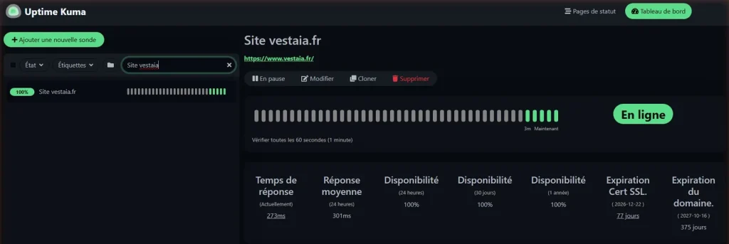 Tableau de bord Uptime Kuma : sonde du site en ligne, disponibilité à 100 %